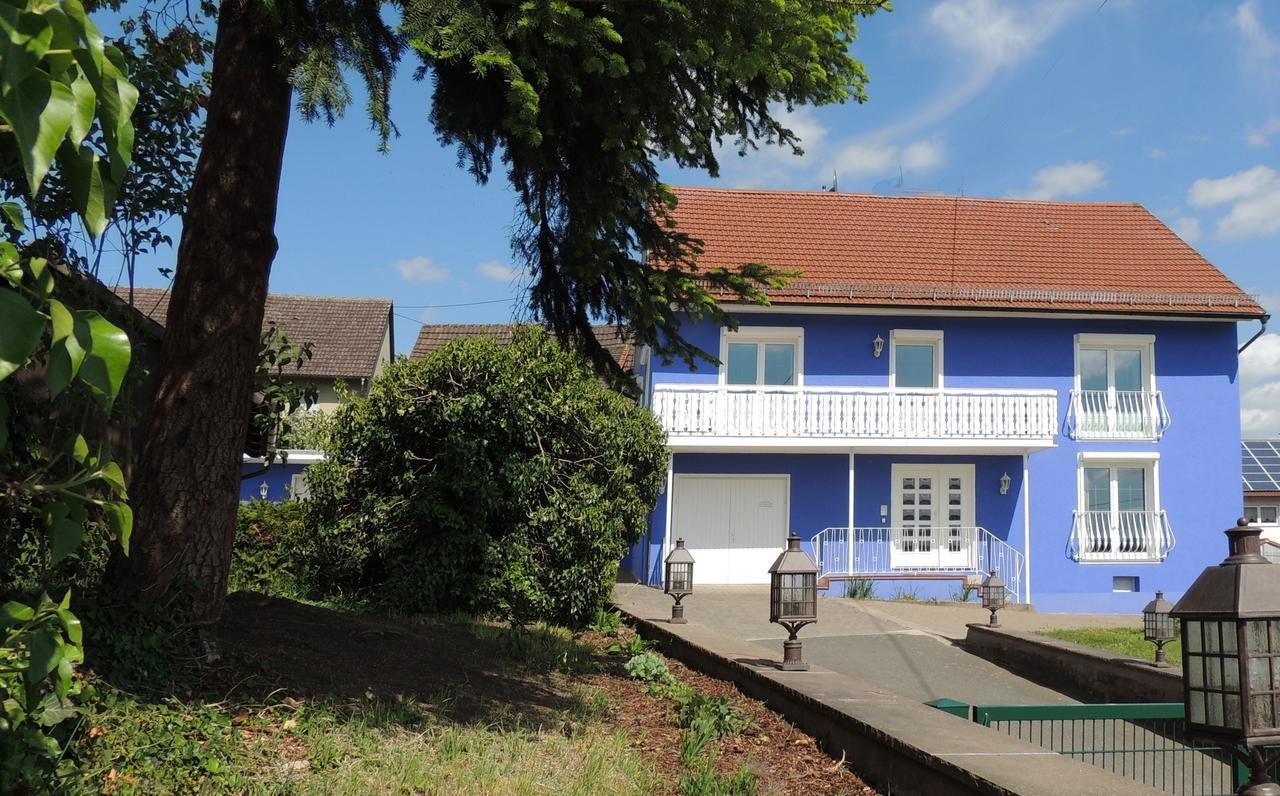Sophia Spessarthauser Otel Marktheidenfeld Dış mekan fotoğraf